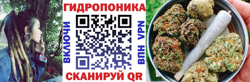сколько стоит  Советская Гавань  Марихуана тримм 